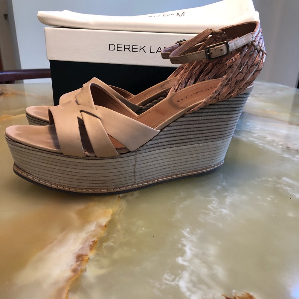 Absolutely Flawless Derek Lam Pumps